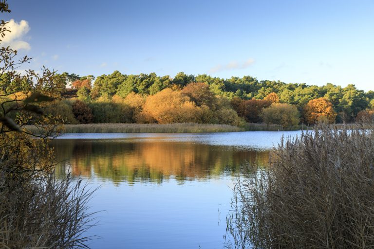 1441087-frensham-little-pond-national-trust-images-john-miller